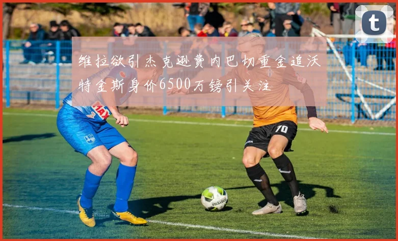 维拉欲引杰克逊费内巴切重金追沃特金斯身价6500万镑引关注
