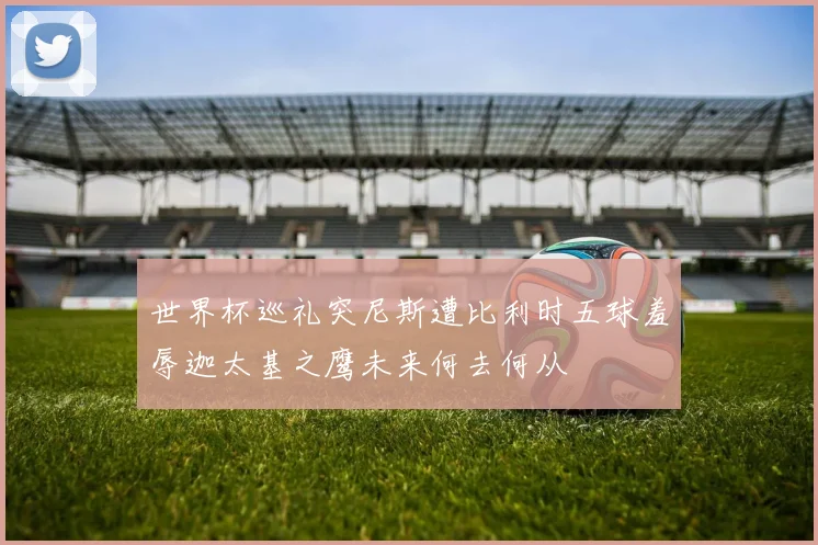 世界杯巡礼突尼斯遭比利时五球羞辱迦太基之鹰未来何去何从